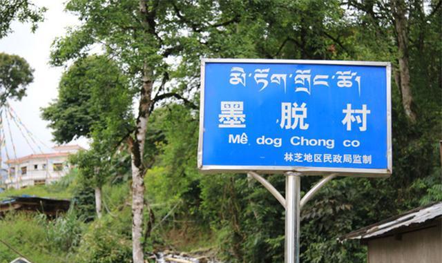 廣東樹脂瓦