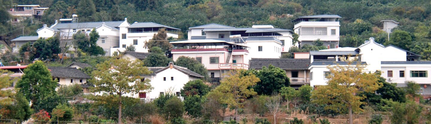 廣東樹脂瓦