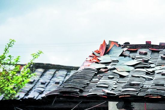 廣東樹脂瓦廠家