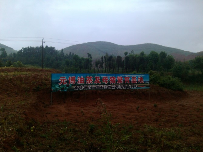 廣東樹(shù)脂瓦廠家