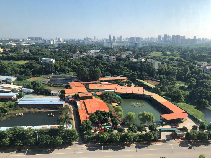 廣東樹(shù)脂瓦廠(chǎng)家廣宸信建材